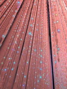 豊洲 チームラボ