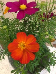 季節外れの夏休み