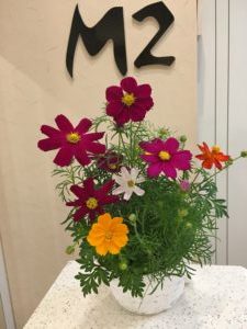 季節外れの夏休み